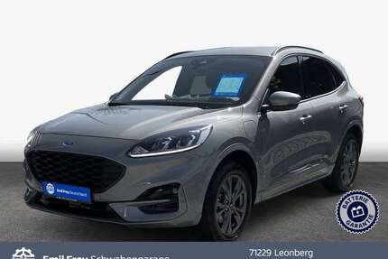 Ford Kuga Gebrauchtwagen