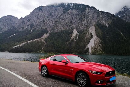 Ford Mustang Gebrauchtwagen