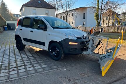 Fiat Panda Gebrauchtwagen