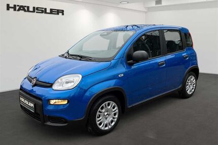 Fiat Panda Gebrauchtwagen
