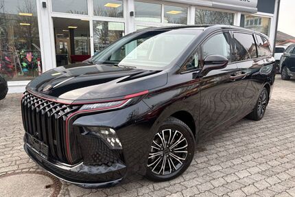 DFM Forthing 9 Gebrauchtwagen