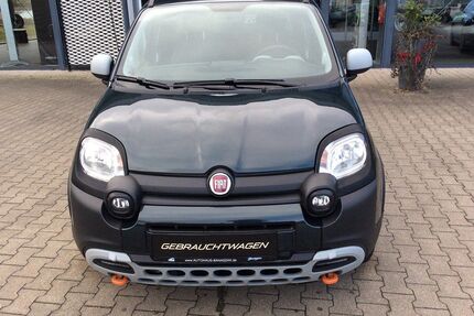 Fiat Panda Gebrauchtwagen