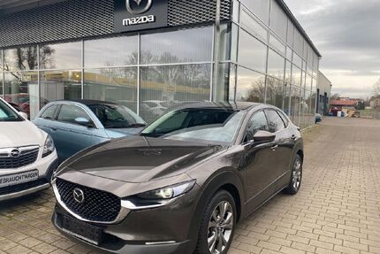 Mazda CX-30 Gebrauchtwagen