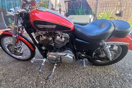Harley Davidson 1200 Custom Gebrauchtwagen