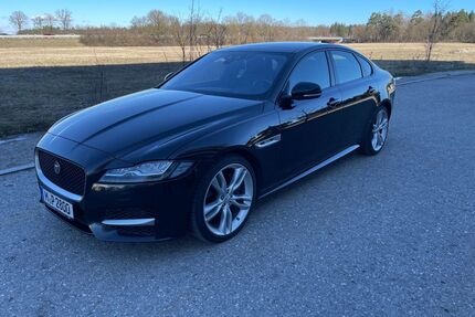 Jaguar XF Gebrauchtwagen
