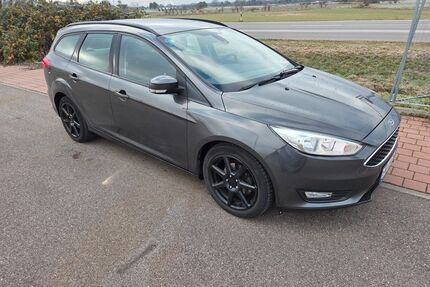 Ford Focus Gebrauchtwagen