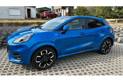 Ford Puma Gebrauchtwagen