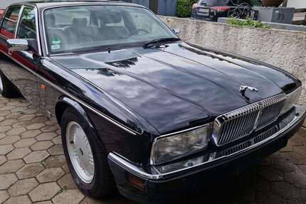 Jaguar Daimler Gebrauchtwagen
