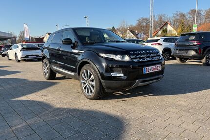 Land Rover Range Rover Evoque Gebrauchtwagen