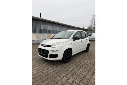Fiat New Panda Gebrauchtwagen