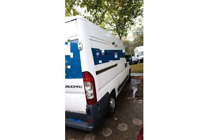 Fiat Ducato Gebrauchtwagen