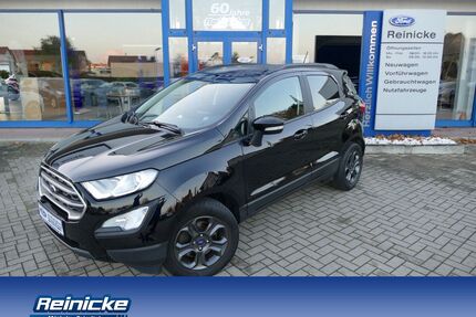 Ford EcoSport Gebrauchtwagen