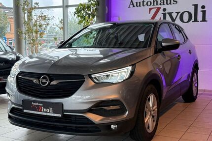Opel Grandland (X) Gebrauchtwagen