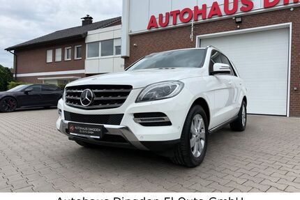 Mercedes-Benz ML 350 Gebrauchtwagen
