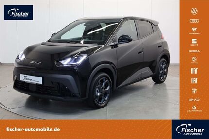 BYD DOLPHIN Gebrauchtwagen