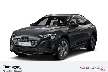 Audi Q8 e-tron Gebrauchtwagen