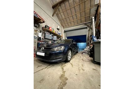 VW Golf Gebrauchtwagen