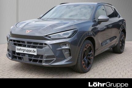 Cupra Terramar Gebrauchtwagen