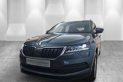 Skoda Karoq Gebrauchtwagen