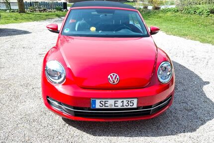 VW Beetle Gebrauchtwagen