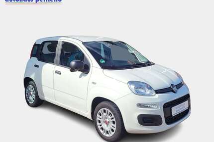 Fiat Panda Gebrauchtwagen