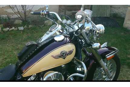 Kawasaki VN 800 Gebrauchtwagen