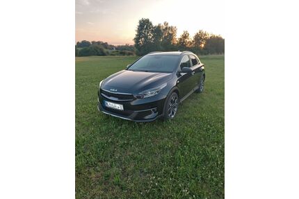 Kia XCeed Gebrauchtwagen