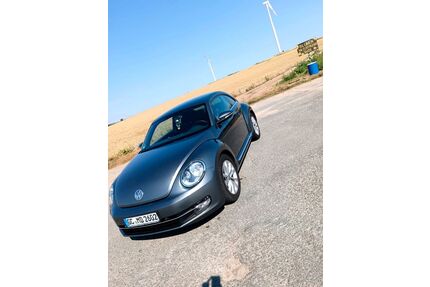 VW Beetle Gebrauchtwagen