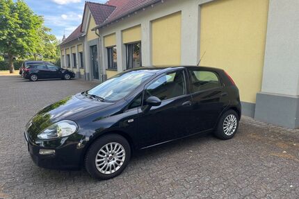 Fiat Punto Gebrauchtwagen