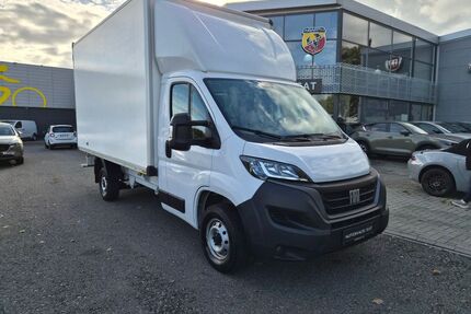 Fiat Ducato Gebrauchtwagen