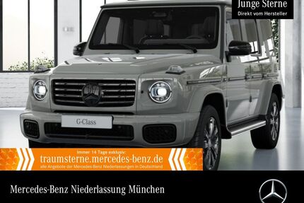 Mercedes-Benz G 450 Gebrauchtwagen