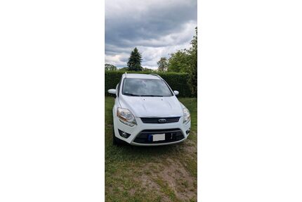 Ford Kuga Gebrauchtwagen