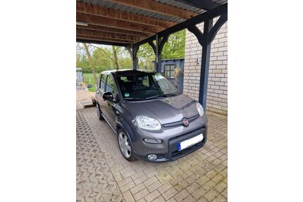 Fiat Panda Gebrauchtwagen