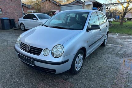 VW Polo Gebrauchtwagen