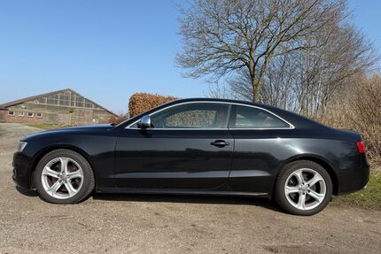 Audi S5 Gebrauchtwagen
