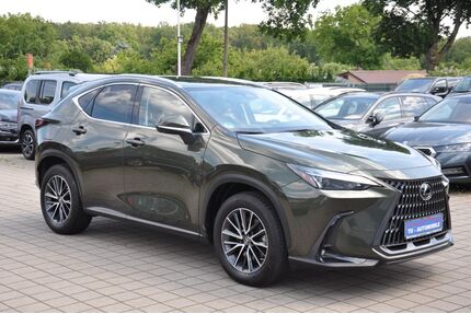 Lexus NX 450h Gebrauchtwagen