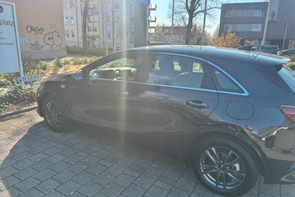 Kia ceed / Ceed Gebrauchtwagen