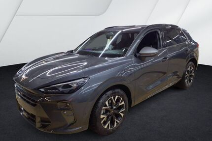 Cupra Terramar Gebrauchtwagen