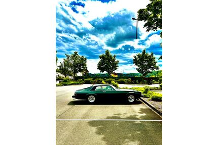 Jaguar XJS Gebrauchtwagen