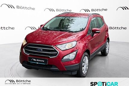 Ford EcoSport Gebrauchtwagen