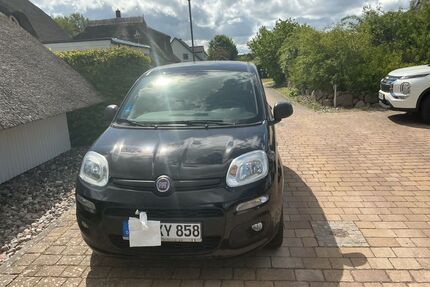 Fiat Panda Gebrauchtwagen