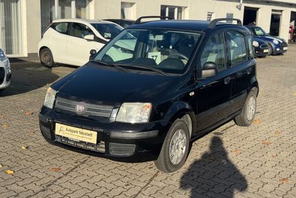 Fiat Panda Gebrauchtwagen