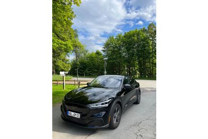 Ford Mustang Mach-E Gebrauchtwagen