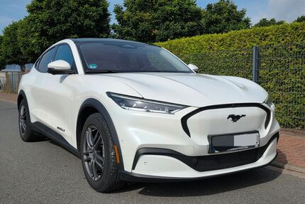 Ford Mustang Mach-E Gebrauchtwagen