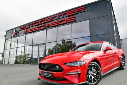 Ford Mustang Gebrauchtwagen