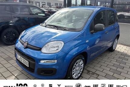 Fiat Panda Gebrauchtwagen