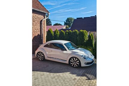 VW Beetle Gebrauchtwagen