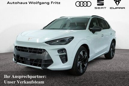 Cupra Terramar Gebrauchtwagen