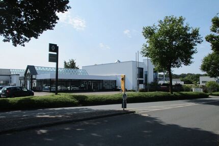 Renault Austral Gebrauchtwagen