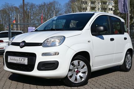 Fiat Panda Gebrauchtwagen